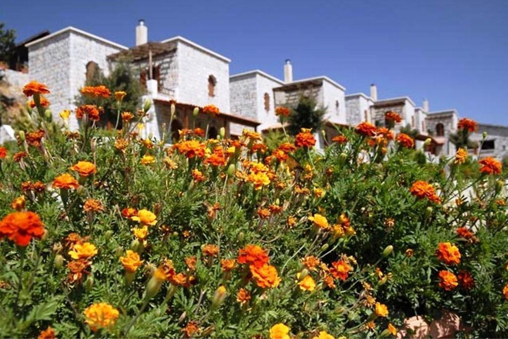 Petrés Lefkoritis Resort Askifou Sfakia מראה חיצוני תמונה