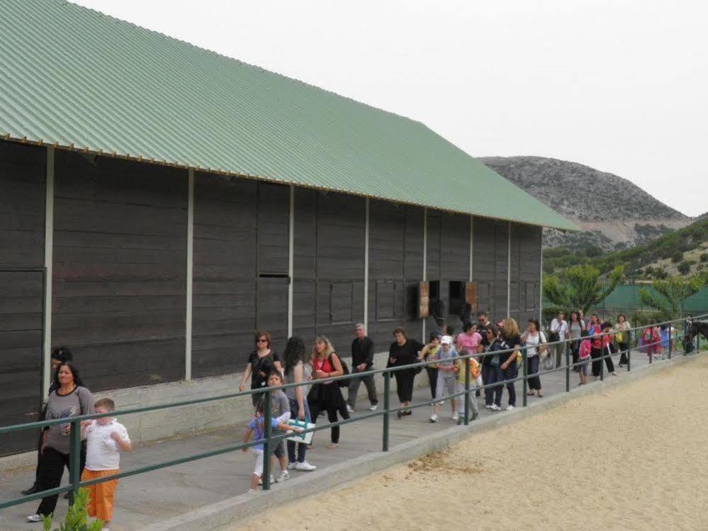 Petrés Lefkoritis Resort Askifou Sfakia מראה חיצוני תמונה