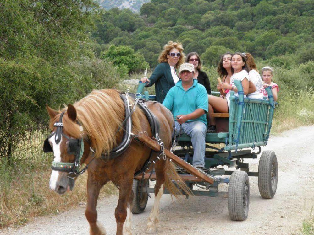 Petrés Lefkoritis Resort Askifou Sfakia מראה חיצוני תמונה